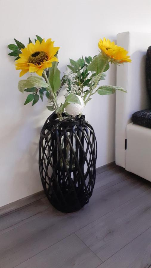 Apartmani Polanscak คราพินสเก ทอปลิตเซ ภายนอก รูปภาพ